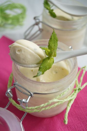 mousse glacée au chocolat blanc et à la menthe