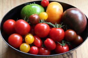 super tomate à la recousse de monsieur woody